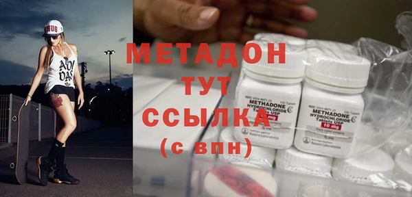 прущие грибы Покровск