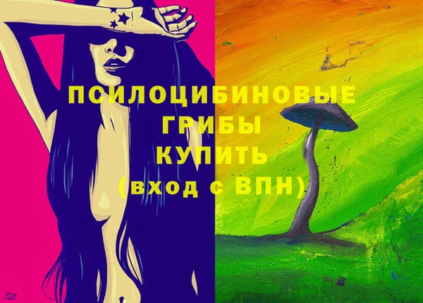 СК Протвино