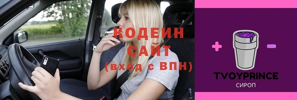 СК Протвино