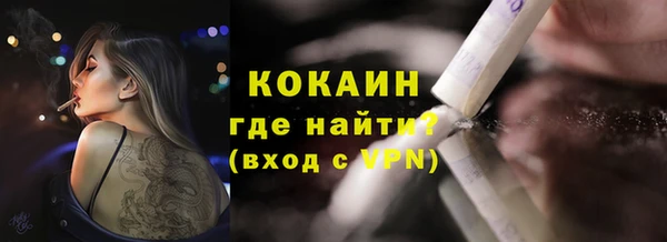 индика Покачи
