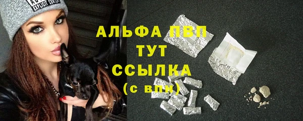 стафф Пролетарск