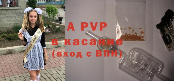 СК Протвино