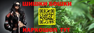 крисы Гатчина
