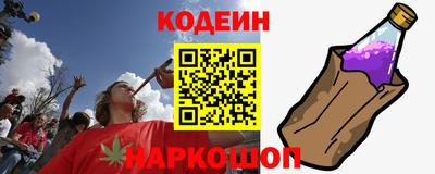 крисы Гатчина