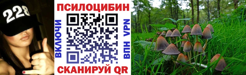 купить  цена  Североуральск  Псилоцибиновые грибы Cubensis 