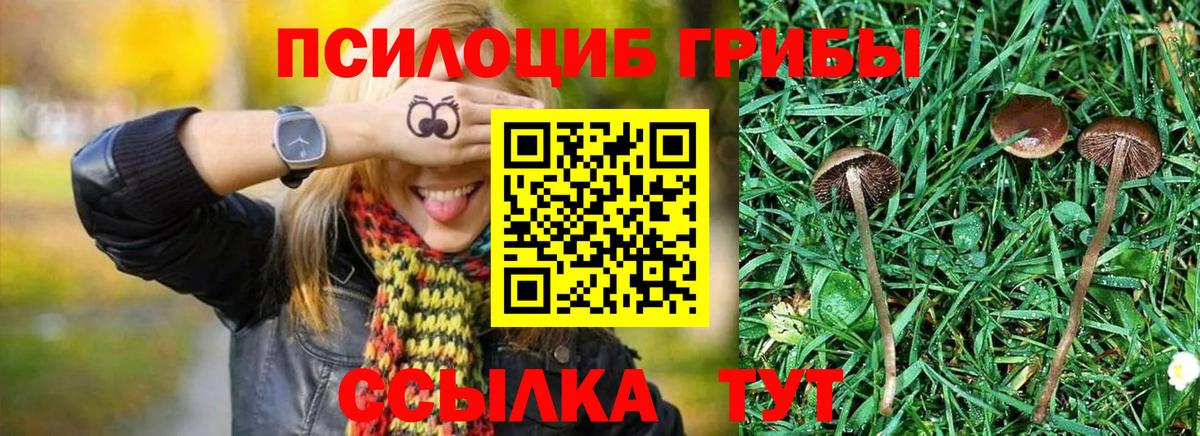 Галлюциногенные грибы Magic Shrooms  Псилоцибиновые грибы Psilocybe  Североуральск 