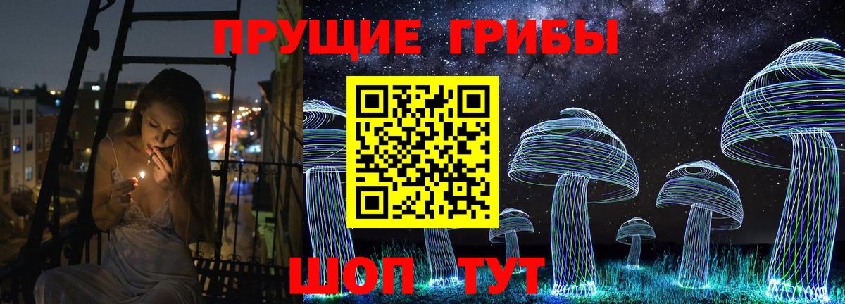 Псилоцибиновые грибы Cubensis Североуральск